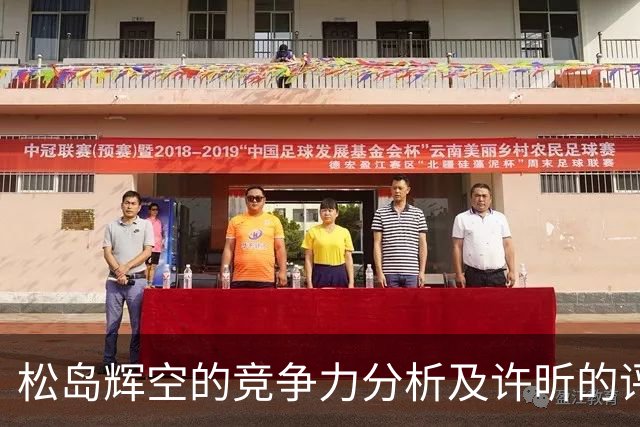 松岛辉空的竞争力分析及许昕的评价