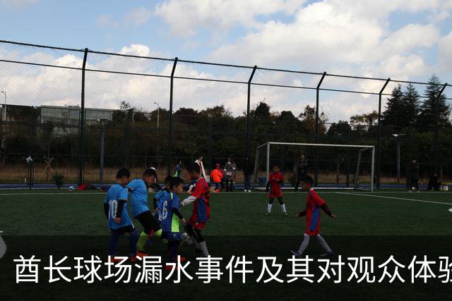 酋长球场漏水事件及其对观众体验的影响分析